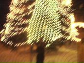 Андрій Антонюк фотография #50 (источник - https://vk.com/id92012802)