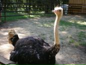 Фотография Бекасовой Марии