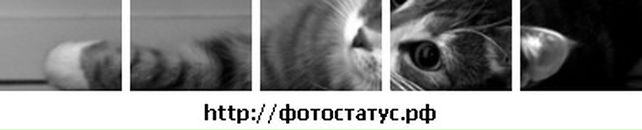 Марта Кіх фотография #11 (источник - https://vk.com/id43684044)