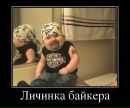 Дмитрий Хитрый фотография #42 (источник - https://vk.com/id944026)