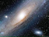 Фотография Барковской Татьяны