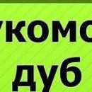 Сашка Пілюшенко фотография #30 (источник - https://vk.com/id84577810)