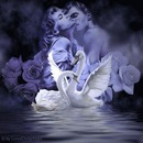 Вераніка (love) фотография #1