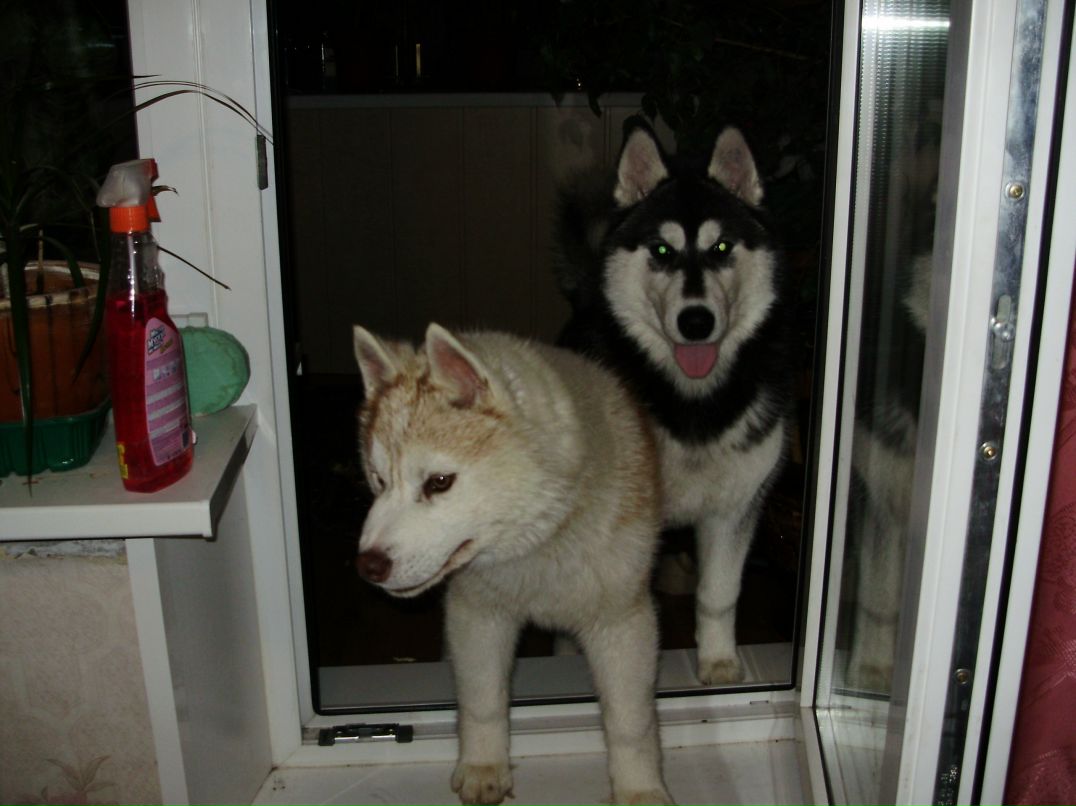 Дмитрий Тепляков фотография #23