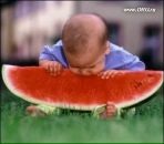Фотография Суровой Елены