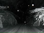 Фотография К Алексея