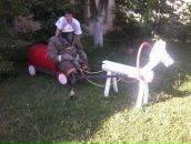 Фотография Пикарева Александра