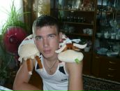 Фотография  