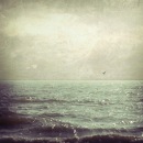 Фотография Кугаевской Екатерины