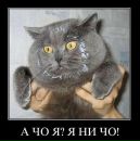 Фотография Виктор Першин