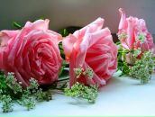 Ірина Козаченко фотография #11 (источник - https://vk.com/id125023794)