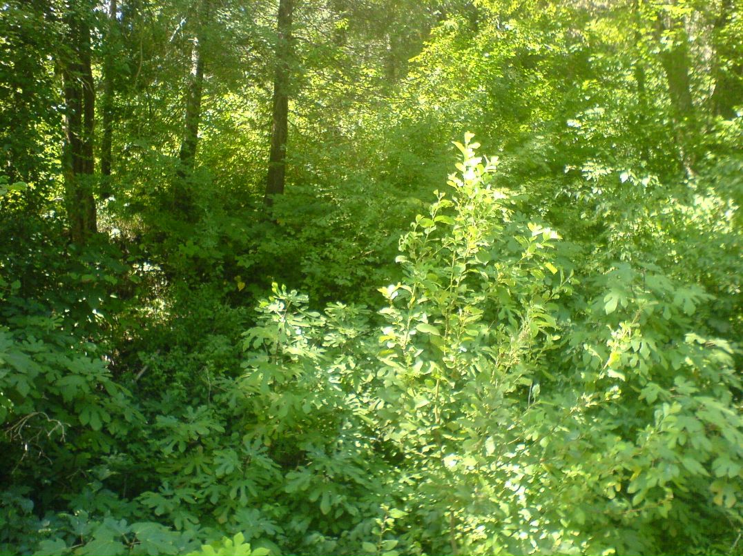 Иван Кузнецов фотография #21