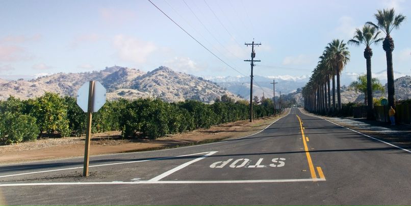 Игорь Свенцицкий фотография #44