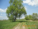 Ірина Пічка фотография #5 (источник - https://vk.com/id138076176)