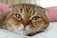 Фотография Малахова Максима