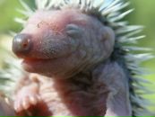 Фотография Мишаниной Натальи