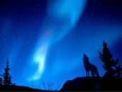 Фотография Мануковского Вячеслава