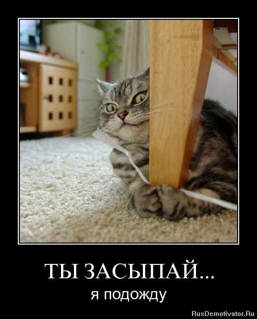 Дмитрий Дмитриев фотография #2