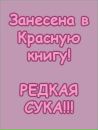 Марія Господаренко фотография #41 (источник - https://vk.com/id134140526)