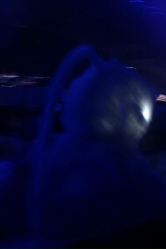 Ivan Kabanov фотография #41