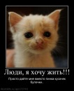 Владік Голод фотография #35 (источник - https://vk.com/id110295605)