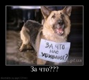 Владік Голод фотография #36 (источник - https://vk.com/id110295605)