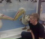 Фотография Мальцева Константина