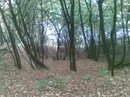 Ігор Каршневич фотография #12 (источник - https://vk.com/id140354787)