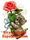 Іра Гоголь фотография #49 (источник - https://vk.com/id110833963)