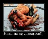 Фотография Иванова Дмитрия