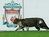 Антон Гончаров фотография #39 (источник - https://vk.com/id1012969)