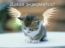 Альончік Михальченко фотография #37 (источник - https://vk.com/id163686868)
