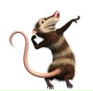 Фотография Юдина Иришка