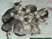 Фотография Преженцовой Татьяны