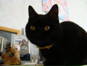 Иван Курай фотография #8 (источник - https://vk.com/id1466987)