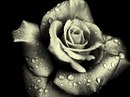 Ангелок Девушка-Цветочек фотография #19 (источник - https://vk.com/id168288723)