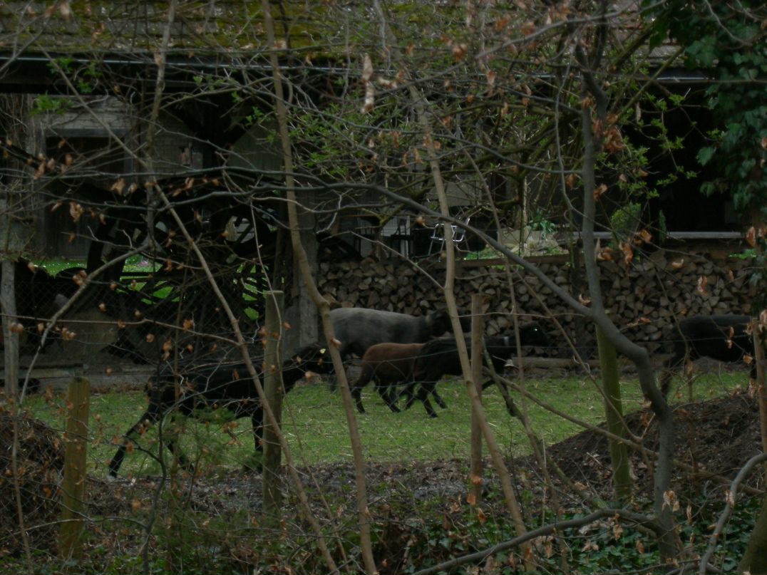 Владимир Грачев фотография #19