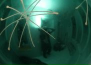 Фотография Соловьева Максима