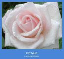 Фотография Рыжкова (миронецкая) Марии