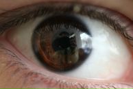 Фотография Ермоченко Александра