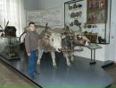 Фотография Абрамова Андрея