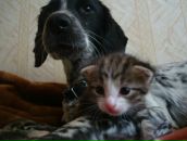 Фотография Шапкиной Наташи