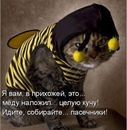 Фотография Валерьевна Анастасия