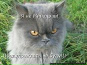 Фотография Поклонов Константин