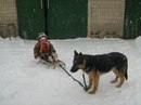 Свєта Муравська фотография #39 (источник - https://vk.com/id153460091)