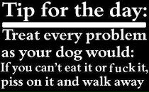 Дарья Каткова фотография #45 (источник - https://vk.com/id7027915)