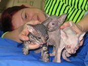 Фотография Шустовой Натальи