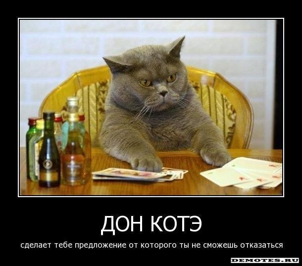 Кирилл Осипенко фотография #42