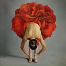 Фотография Семеиной Екатерины