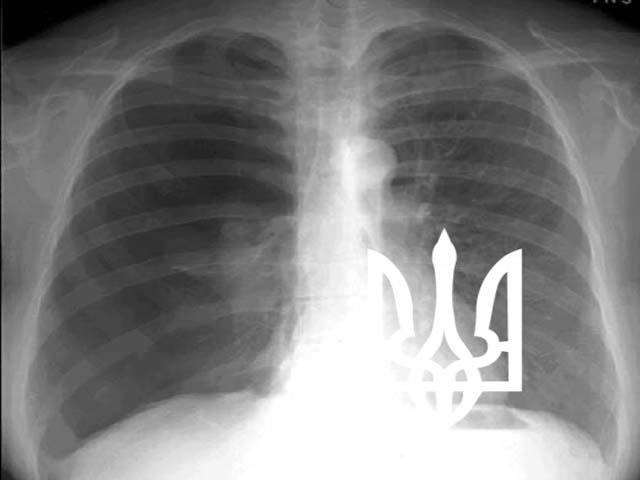 Дима Симон фотография #48